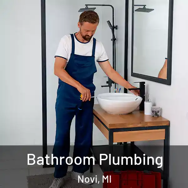  Bathroom Plumbing Novi, MI