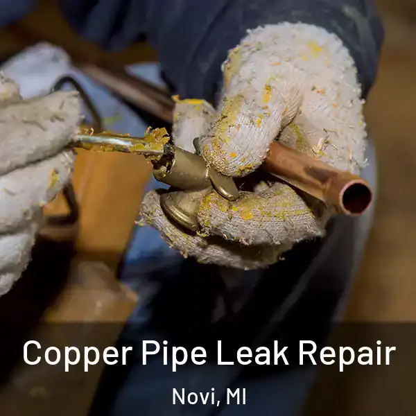  Copper Pipe Leak Repair Novi, MI