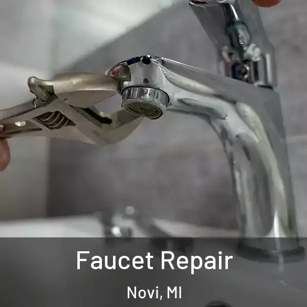  Faucet Repair Novi, MI