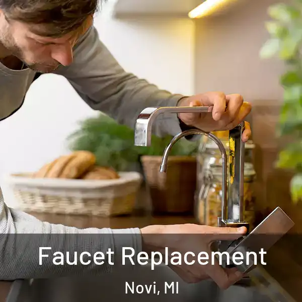  Faucet Replacement Novi, MI