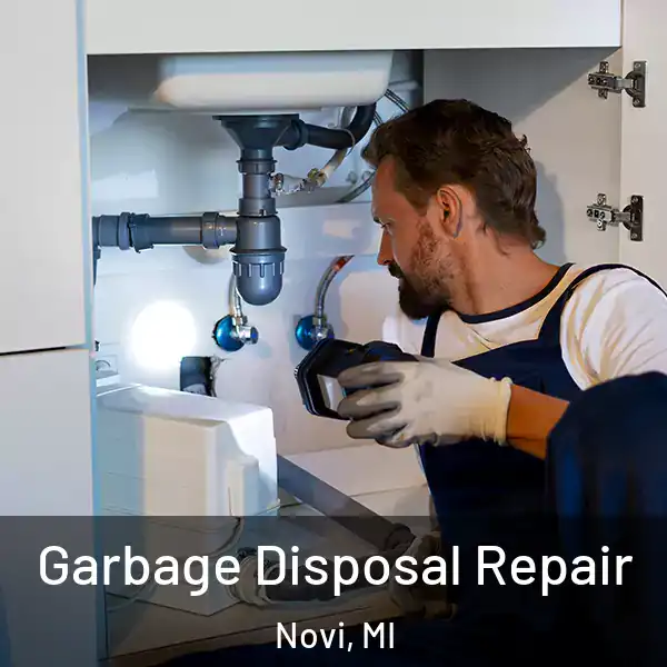  Garbage Disposal Repair Novi, MI