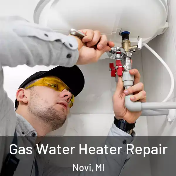  Gas Water Heater Repair Novi, MI