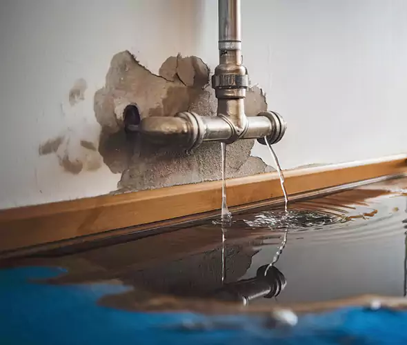 Professional Water Damage Restoration Experts in Novi, MI — Fast, Reliable & Certified
