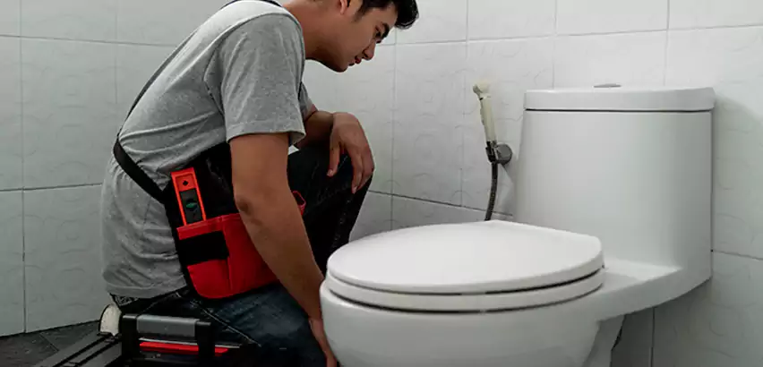 Toilet Repair in Novi