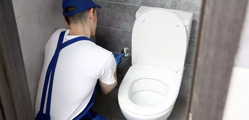 Toilet Lid Replacement in Novi