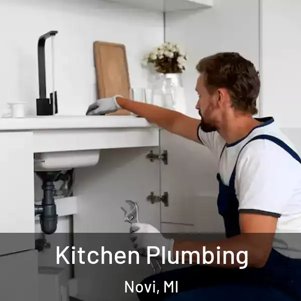 Kitchen Plumbing Novi, MI