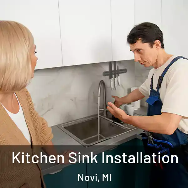  Kitchen Sink Installation Novi, MI