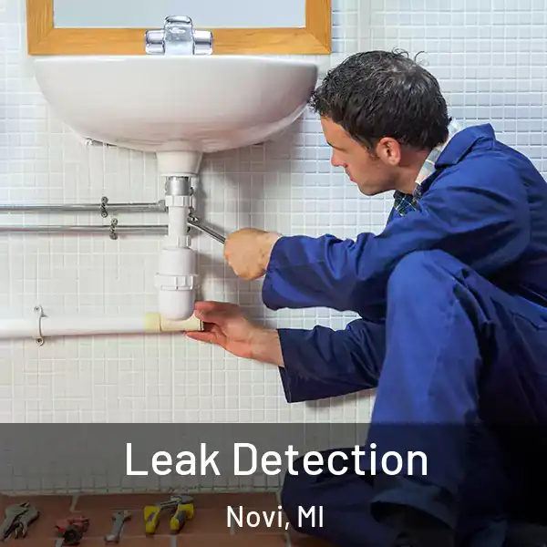  Leak Detection Novi, MI