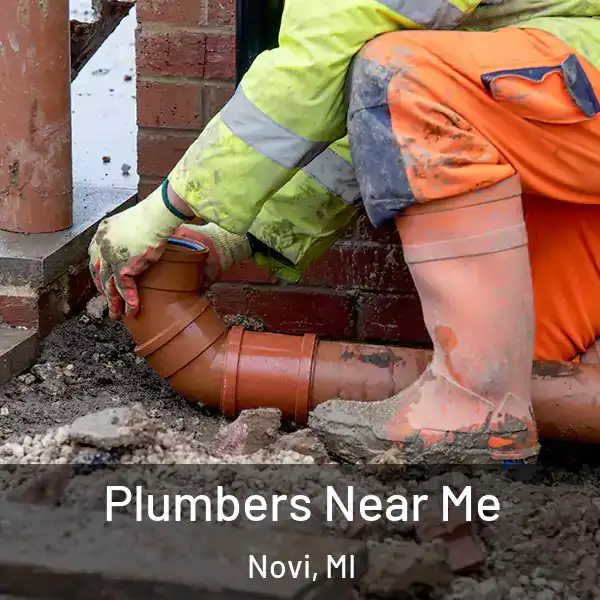 Plumbers Near Me Novi, MI