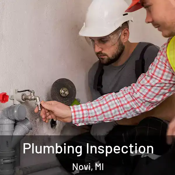  Plumbing Inspection Novi, MI