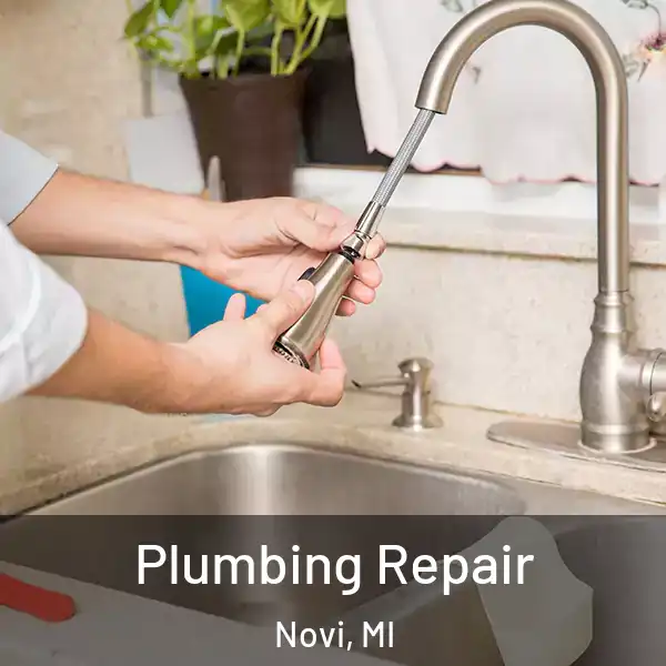  Plumbing Repair Novi, MI