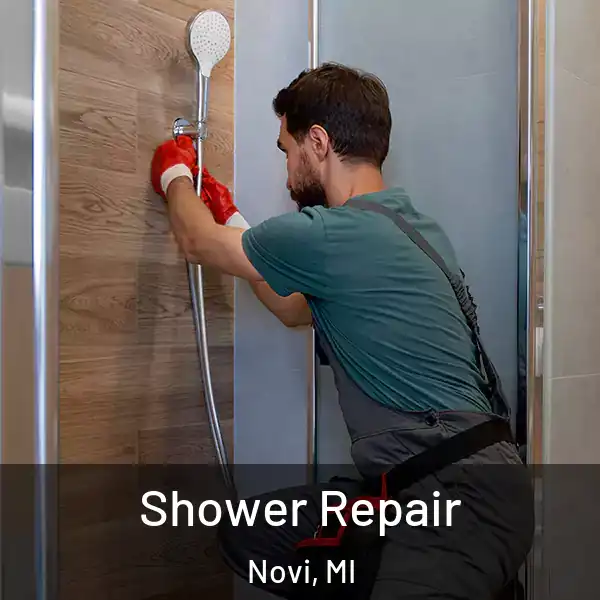  Shower Repair Novi, MI