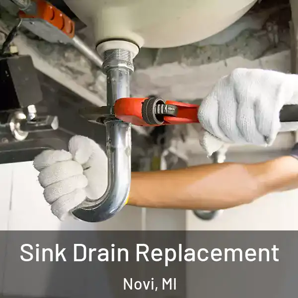  Sink Drain Replacement Novi, MI