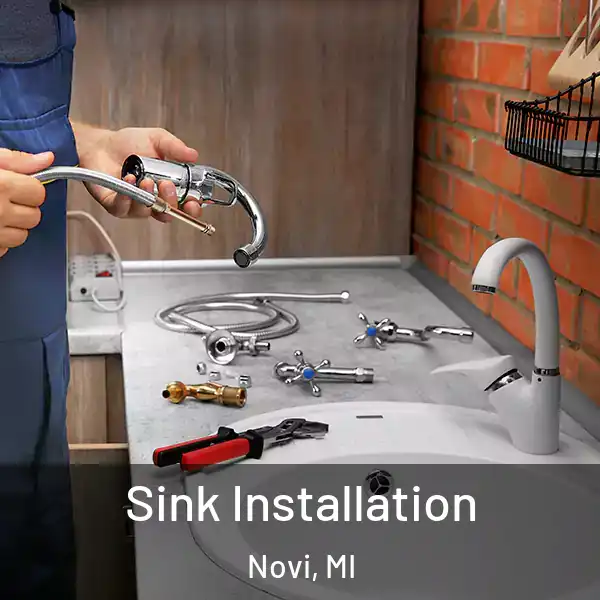  Sink Installation Novi, MI
