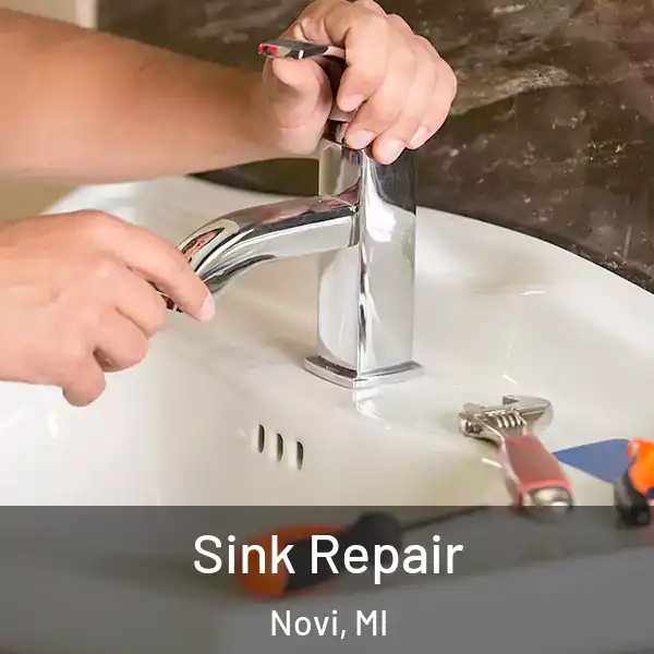  Sink Repair Novi, MI