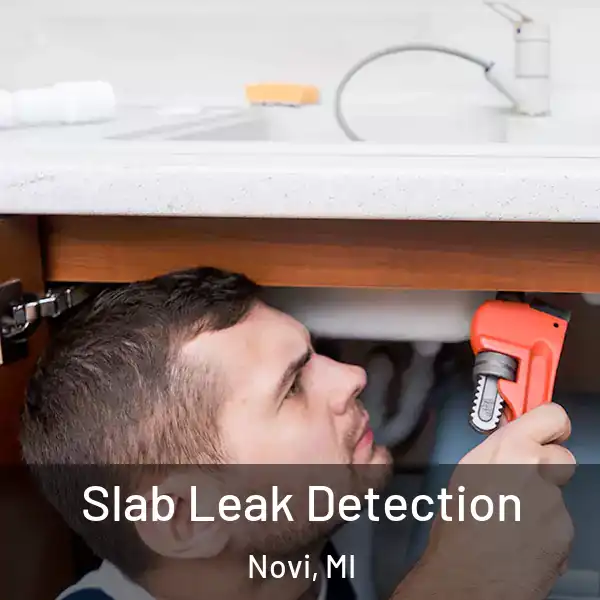  Slab Leak Detection Novi, MI