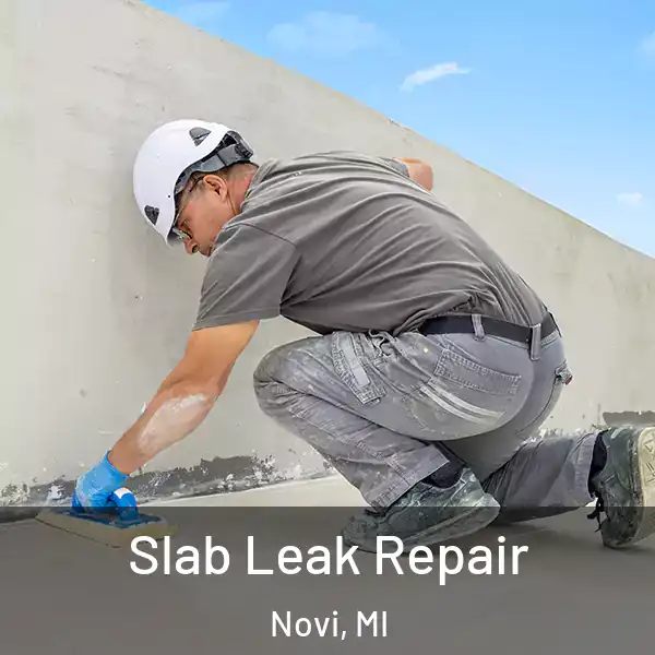  Slab Leak Repair Novi, MI