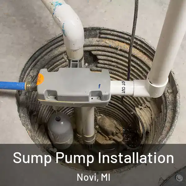  Sump Pump Installation Novi, MI