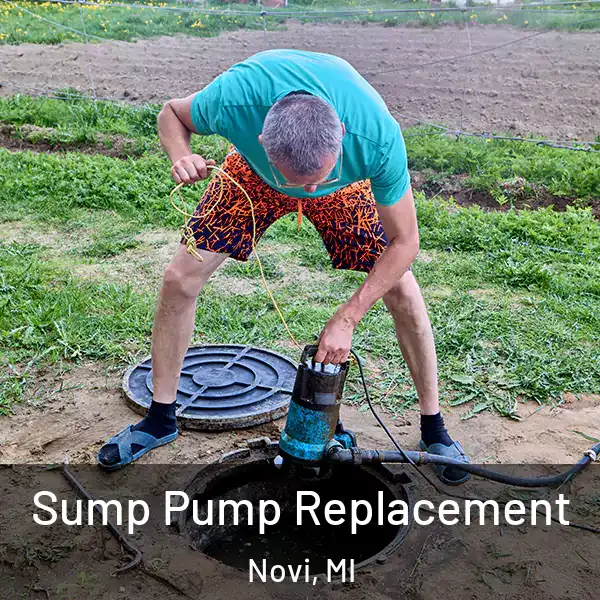  Sump Pump Replacement Novi, MI
