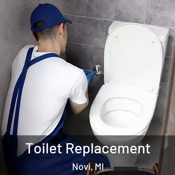  Toilet Replacement Novi, MI