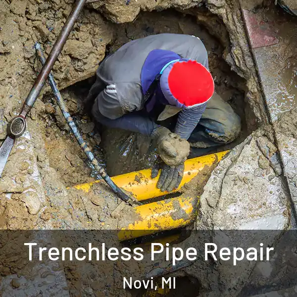  Trenchless Pipe Repair Novi, MI