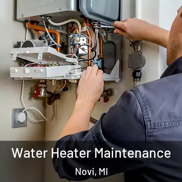  Water Heater Maintenance Novi, MI
