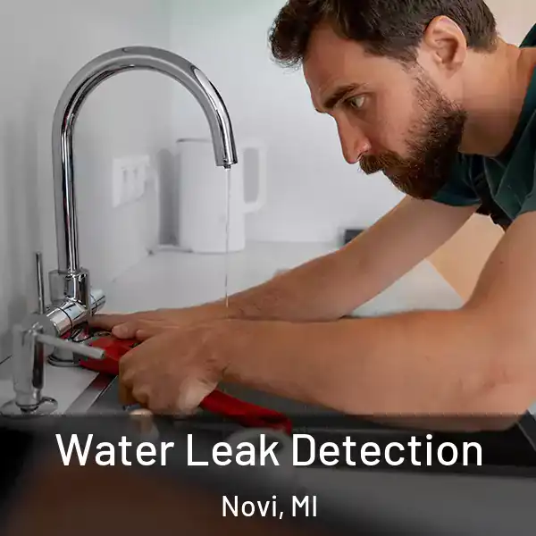 Water Leak Detection Novi, MI