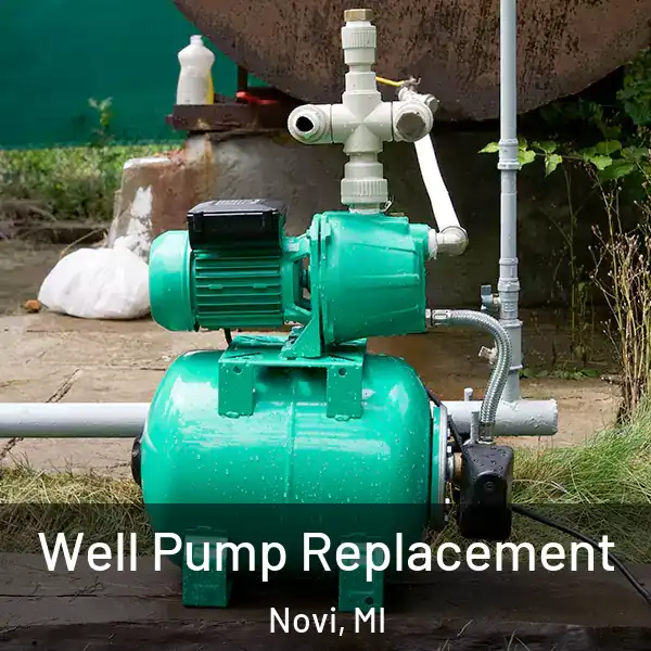  Well Pump Replacement Novi, MI